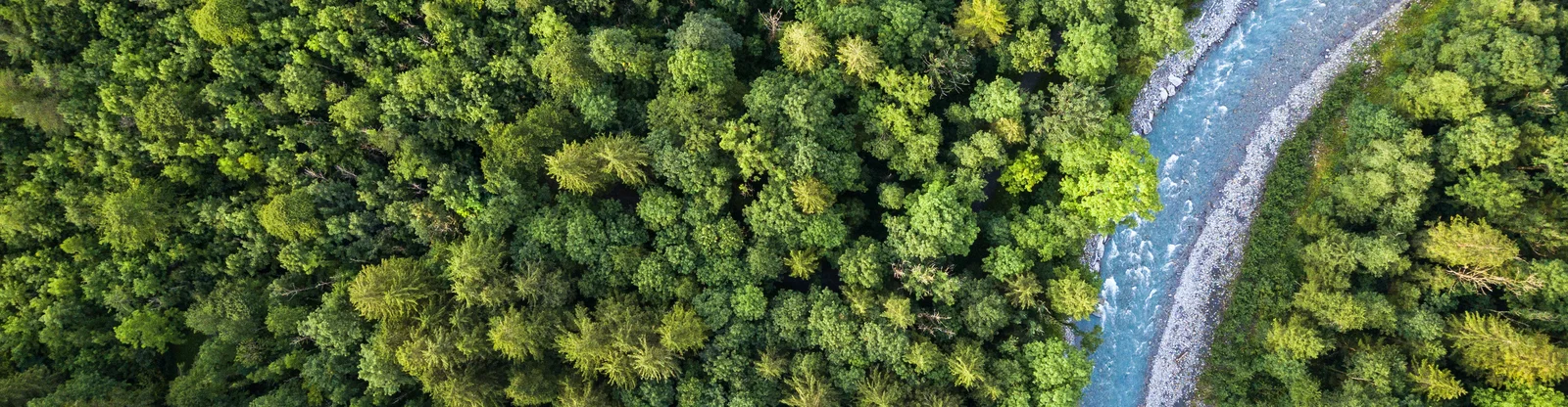 Glass globe in green environment representing sustainability